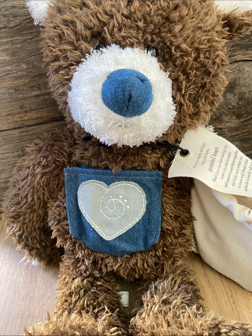 Demdaco Grateful  Bear Plush with Blue Heart Pocket